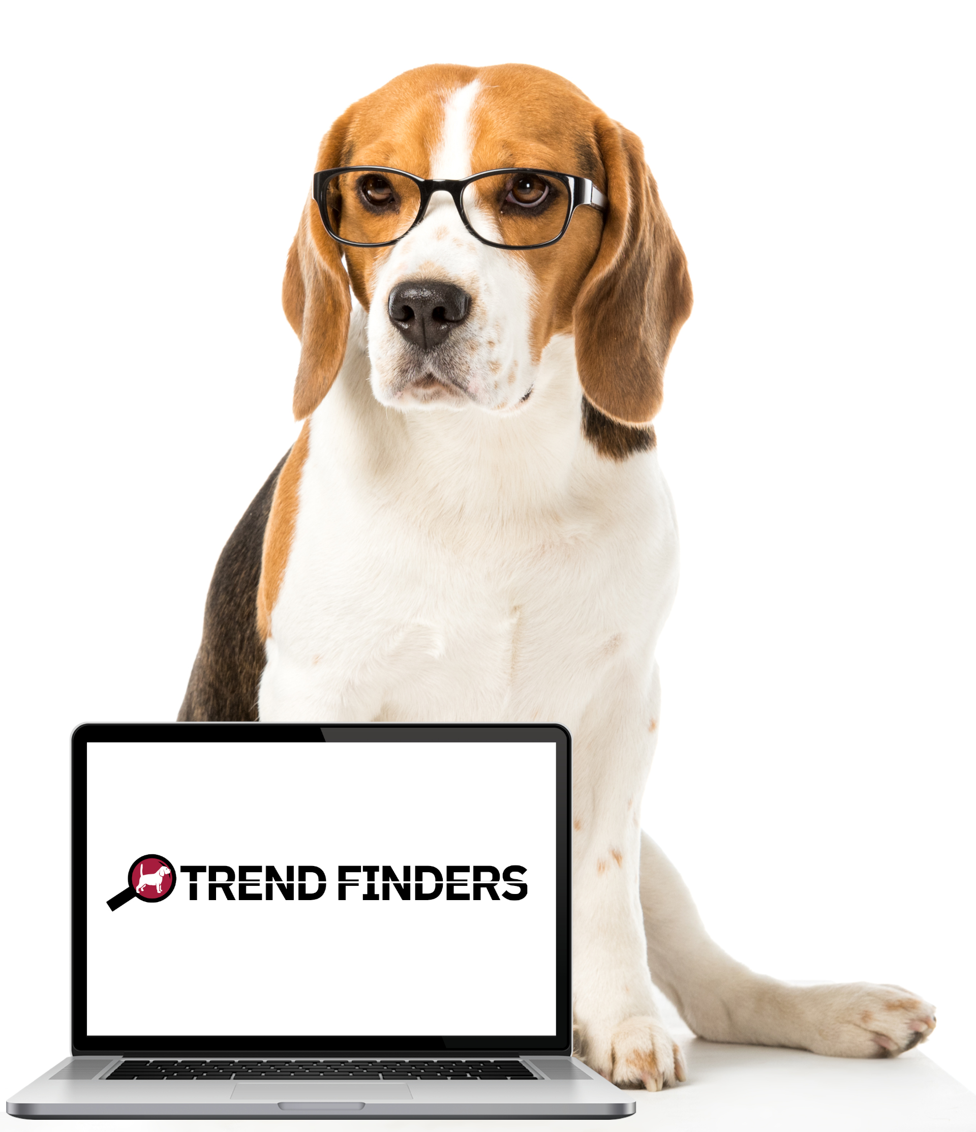 Realizzazione siti web by Trend Finders